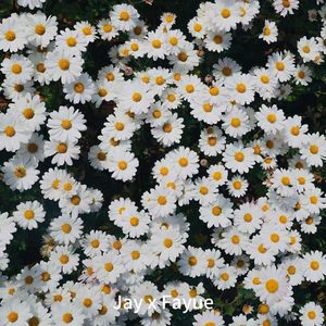 再会（prod by ATTBEAT）