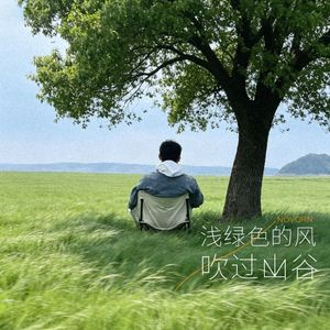 浅绿色的风吹过山谷