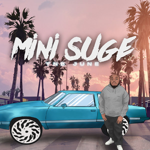 Mini Suge