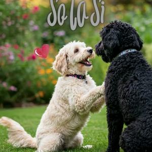 Do Re Mi Fa So La Si Dog（犬の歌） by KOUKA🐕好歌