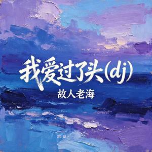 我爱过了头（dj）
