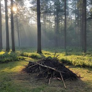 Soothing vibes keep the darkness at bay (Binaural Lambda 150 Hz)