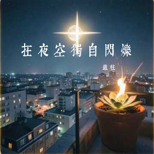 在夜空独自闪烁