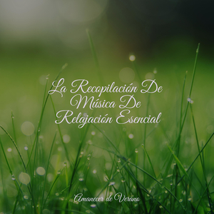 Sueños Ardientes Encantados