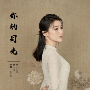 你的目光