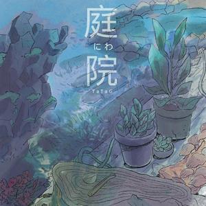 石竹花