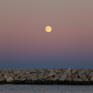 웃음 가득했던 그 시절에