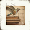 Blow - Eres La Luz (Acoustic Version)