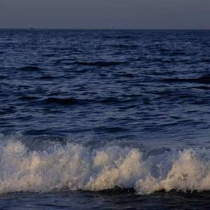 至此流年各天涯（翻自 我不理智）