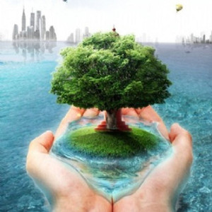 五行养生｜无上清凉