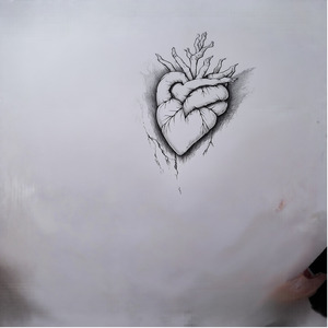 Entre a Dor e o Coração