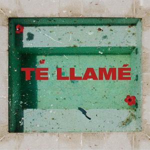Te Llame