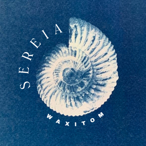 Sereia