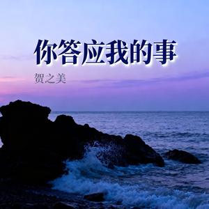 你答应我的事