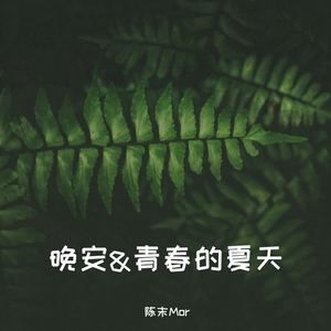 青春的夏天（demo）