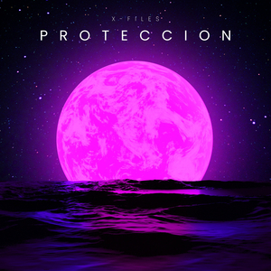 PROTECCION