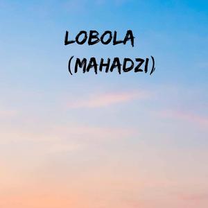 Lobola(mahadzi)