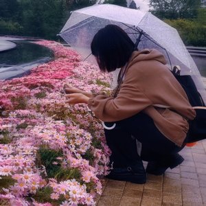 杨轶轩 - Vagrant.mp3