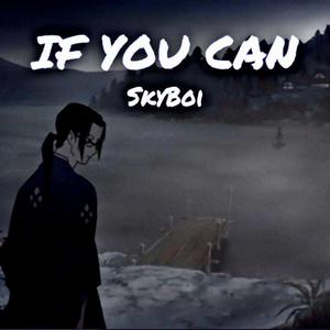 If You Can(Prod. Furyl, 4_Chords)