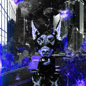 Drip Check (Feat. walo)