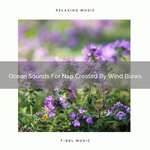 Nature Calls With Windblows And Meadow Noises