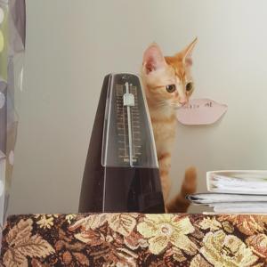 神魂颠倒（女声片段）