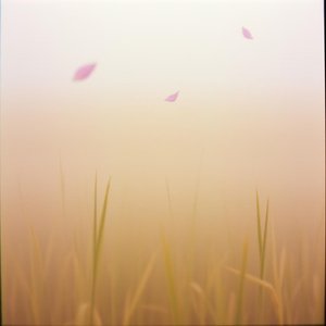 也许我思想太复杂