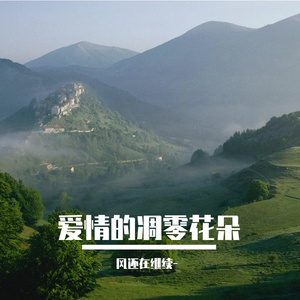 心伤的创口愈合难愈合