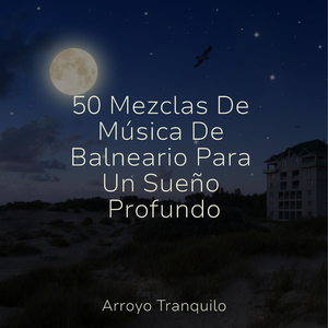 Paisajes Acuáticos De Calma