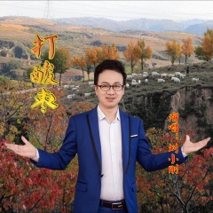 打酸枣