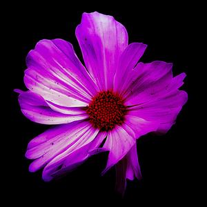 Sag Mir (feat. CapsCtrl)