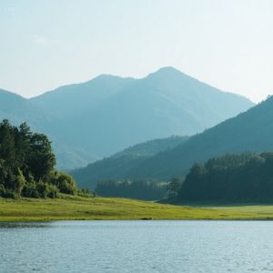 憧憬梨花
