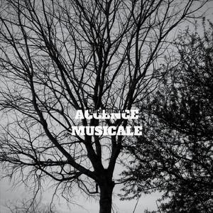 Accence Musicale