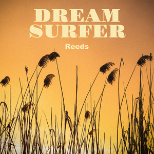 Reeds