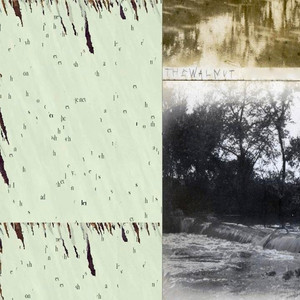 Salutary Address (The Walnut)