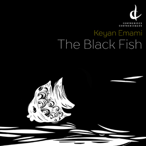 The Black Fish:III. Swimming in D