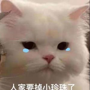 默