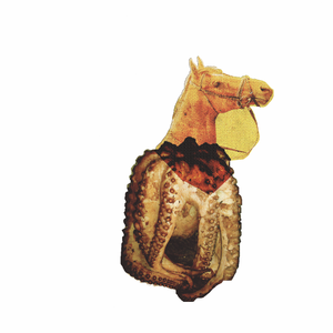 Ellos Crearon Peque?as Fieras