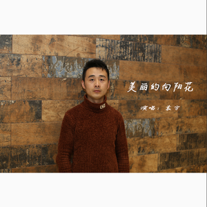 美丽的向阳花 (伴奏)