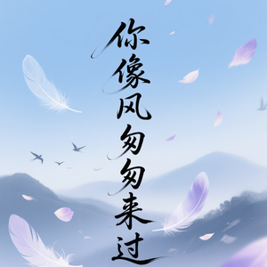 你像风匆匆来过