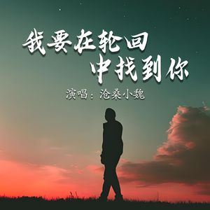 我要在轮回中找到你