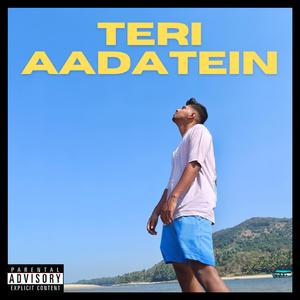Teri Aadatein