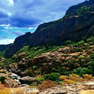 Dor ce arde-n pieptul meu