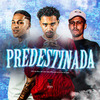 MC Dudu HR - Predestinada