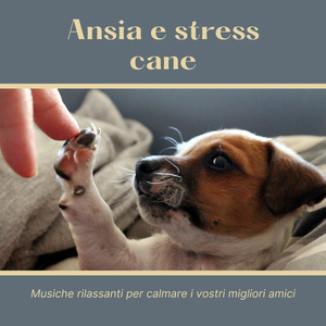 Calmare l'angoscia