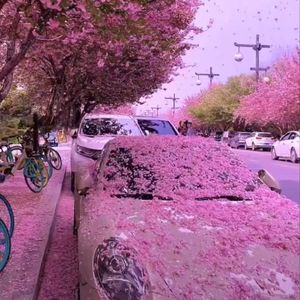 经文背面的指纹