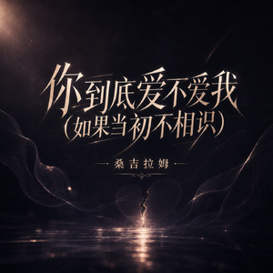 你到底爱不爱我(如果当初不相识)