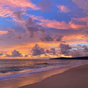 融入电子的海洋