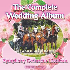 Bridal Chorus (Treulich Geführt)