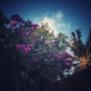 Куда-то ввысь